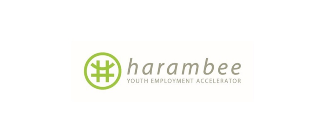 Harambee Youth Employment Accelerator, Technical Business Analyst, 1. image